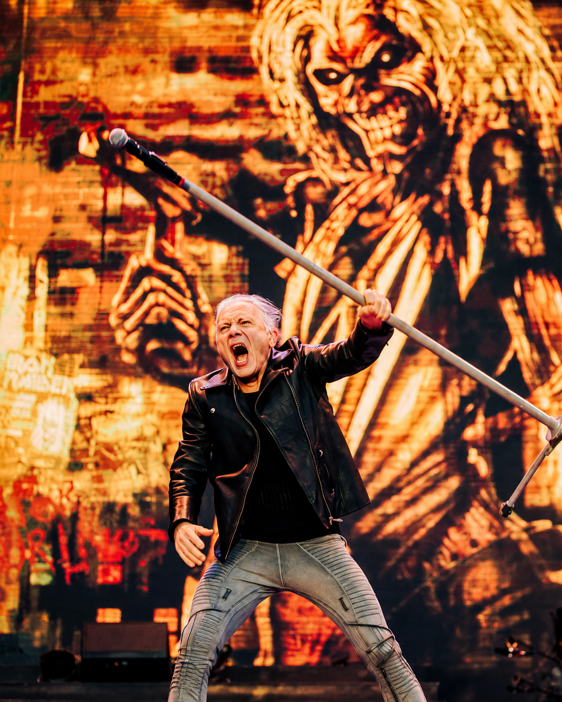 Iron Maiden / Vojtěch Mervart